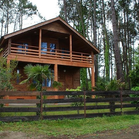 Green Cottage Shekvetili Уреки Екстериор снимка
