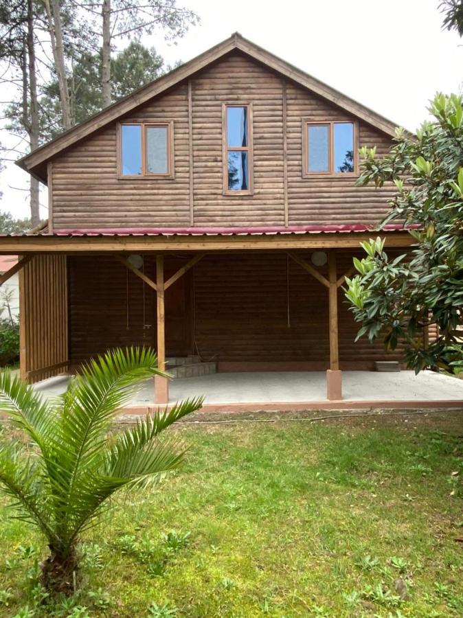 Green Cottage Shekvetili Уреки Екстериор снимка