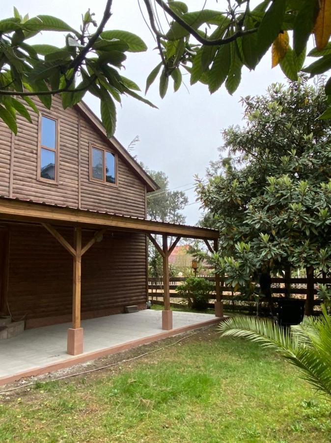 Green Cottage Shekvetili Уреки Екстериор снимка