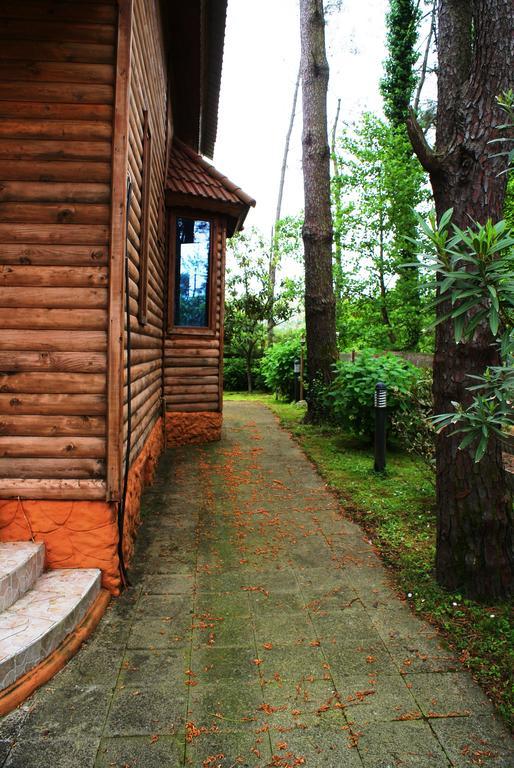 Green Cottage Shekvetili Уреки Екстериор снимка