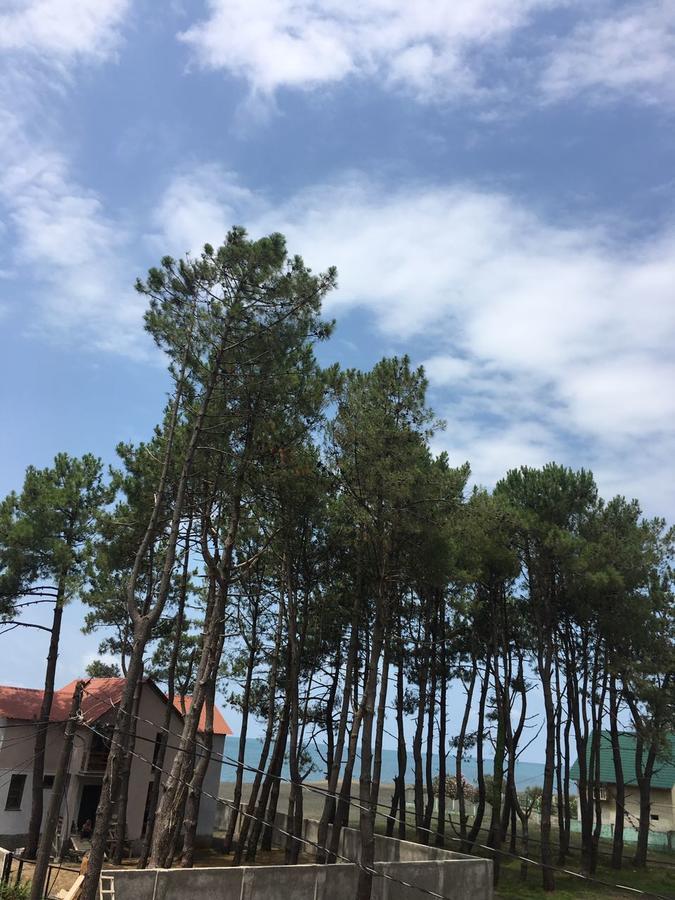 Green Cottage Shekvetili Уреки Екстериор снимка