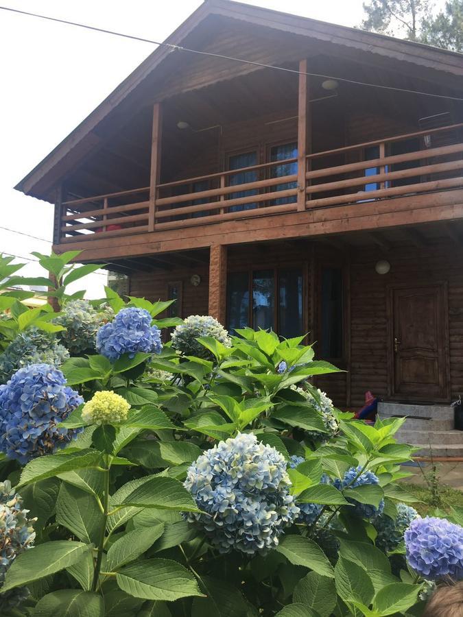 Green Cottage Shekvetili Уреки Екстериор снимка